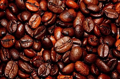 bru world cafe essay Scribd is the world's largest social reading and publishing site. bru world cafe essay Scribd is the world's largest social reading and publishing site.