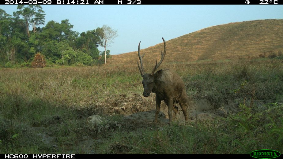 Hope And Horror In Cambodias Virachey National Park The Diplomat