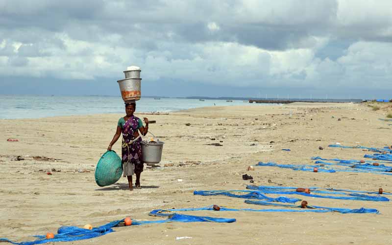 Dhanushkodi Fisherfolk: 50 Years of Life on the Edge