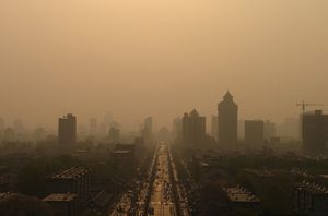 Can China Be Green?