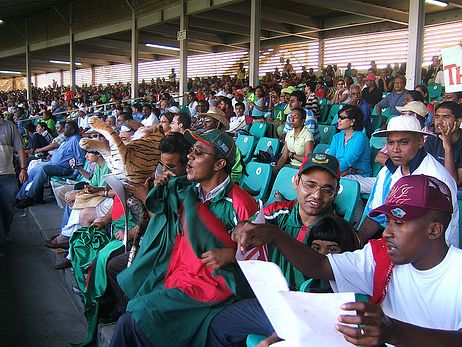 Insights on Cricket in 2011