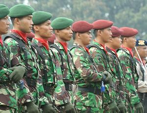 Indonesia Plans New Joint Military Commands