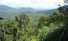 Saving Malaysia’s Last Great Rainforests