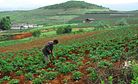 No Farmer Left Behind in China