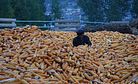 North Korea Pushes Ahead on Agricultural Reforms