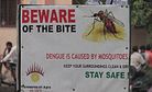 Dengue Scare Sweeps Southeast Asia