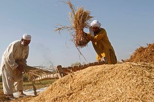 Saving Afghanistan’s Economy: The 1818 Model
