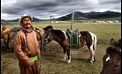 The Mongol Horse: Supreme on the Steppe 