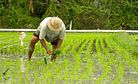 Filipino Farmers Say No to GMO