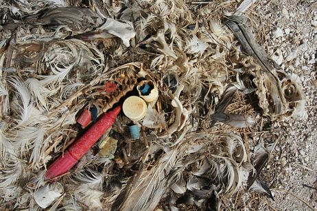 Great Pacific Gyre or the Great Garbage Patch Great Pacific Gyre or the Great Garbage Patch