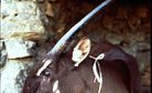 First Wild Saola Sighting in 15 Years Gives Conservationists Hope