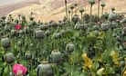 Record-High Afghan Opium Harvest Ahead of NATO Withdrawal