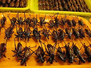 Cricket Casserole? Cambodia’s Baked Insects Gain Popularity in the West
