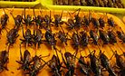 Cricket Casserole? Cambodia’s Baked Insects Gain Popularity in the West