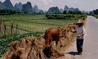 Pollution Threatens China's Food Security