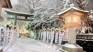Record-Breaking Snowstorm in Japan Grinds Transportation to a Halt, Kills 12