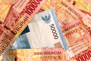 Indonesians Shrug Off ‘Taper Tantrums’