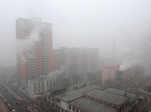 Chinese Man Sues Local Government Over Smog