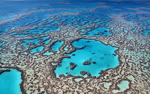 Dredging: A Miner Threat to the Great Barrier Reef?