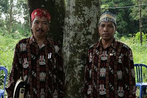 The Fight to Save Indonesia’s Forests