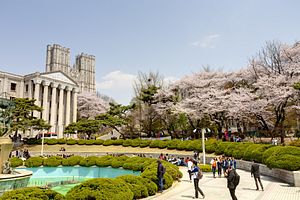 South Korean Students Delaying Graduation