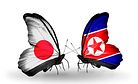 Japan-DPRK Summit Scope Remains Limited