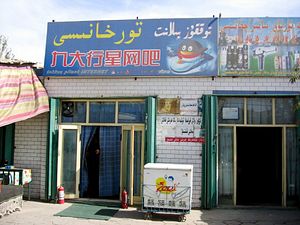 How China Dismantled the Uyghur Internet