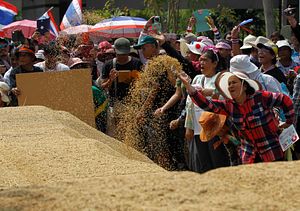 Thailand’s Rice Scheme Post-Mortem