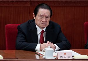 Making Sense of the Zhou Yongkang Investigation