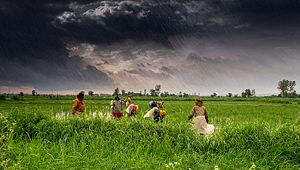 India’s Dangerous Food Subsidies