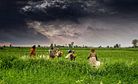 India’s Dangerous Food Subsidies
