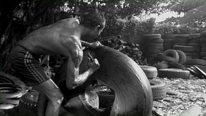 The World of Yangon’s Tire-Cutters