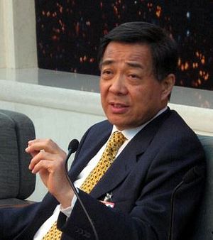 The Legacy of a Fallen Chinese Politician