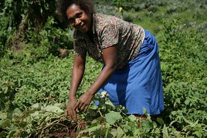 Food Security and Solomon Islands