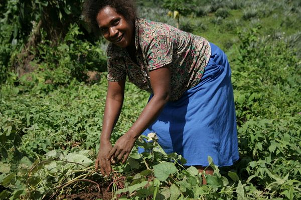 Food Security and Solomon Islands – The Diplomat
