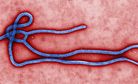 China's Evolving Role in the Fight Against Ebola