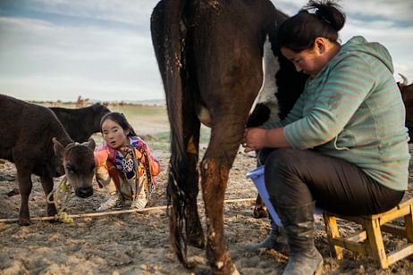 Mongolia: nomads in transition