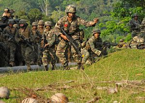 Southeast Asia&#8217;s Emerging Amphibious Forces
