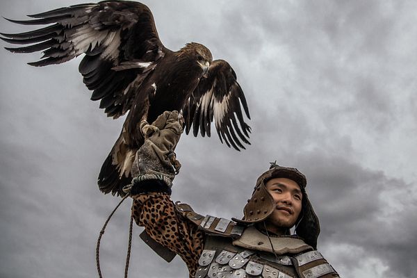 mongolian steppe nomads