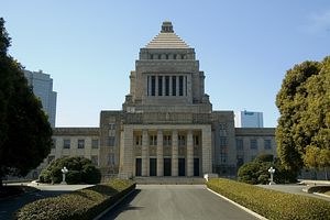 Another Election in Tokyo