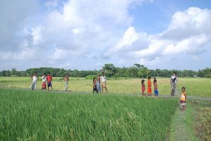 Bangladesh’s Persistent Water Crisis