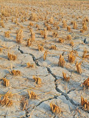 China&#8217;s Looming Water Shortage