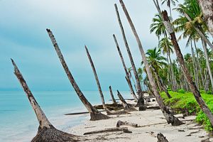 Aceh Ten Years After the Tsunami