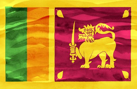 Sri Lanka’s Election Upset: Causes and Effects – The Diplomat