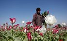 The Narco-State of Afghanistan