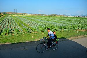 The Political Prestige of North Korea’s Agricultural Reforms