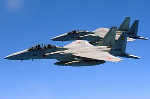 Is Japan Facing a Shortage of Fighter Aircraft?