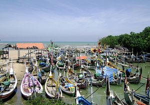 Indonesia Wants Global War on Illegal Fishing