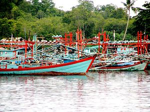 Indonesia’s War on Illegal Fishing Nets New China Vessel