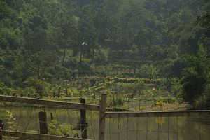 Militancy Strikes Back In India&#8217;s Northeast